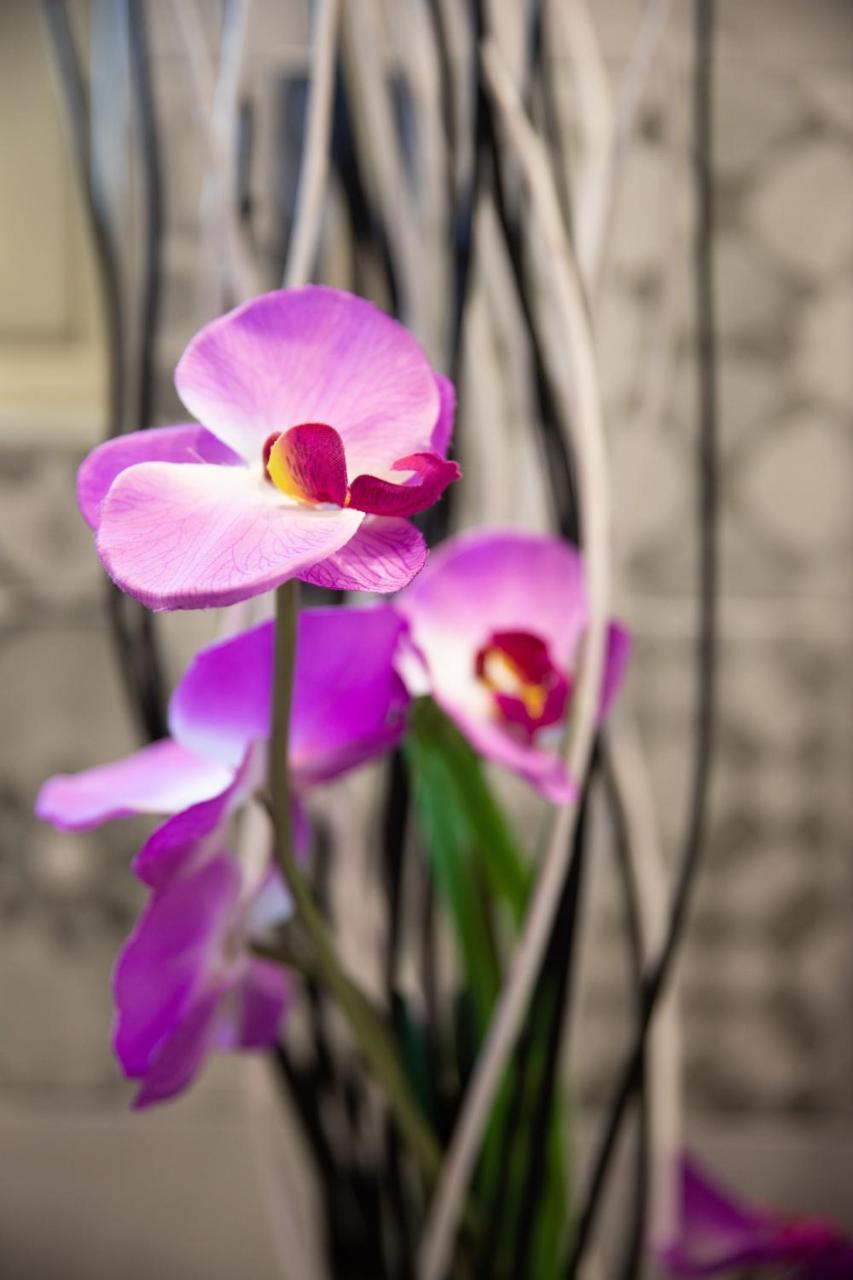 Palermo Suites & Rooms Экстерьер фото